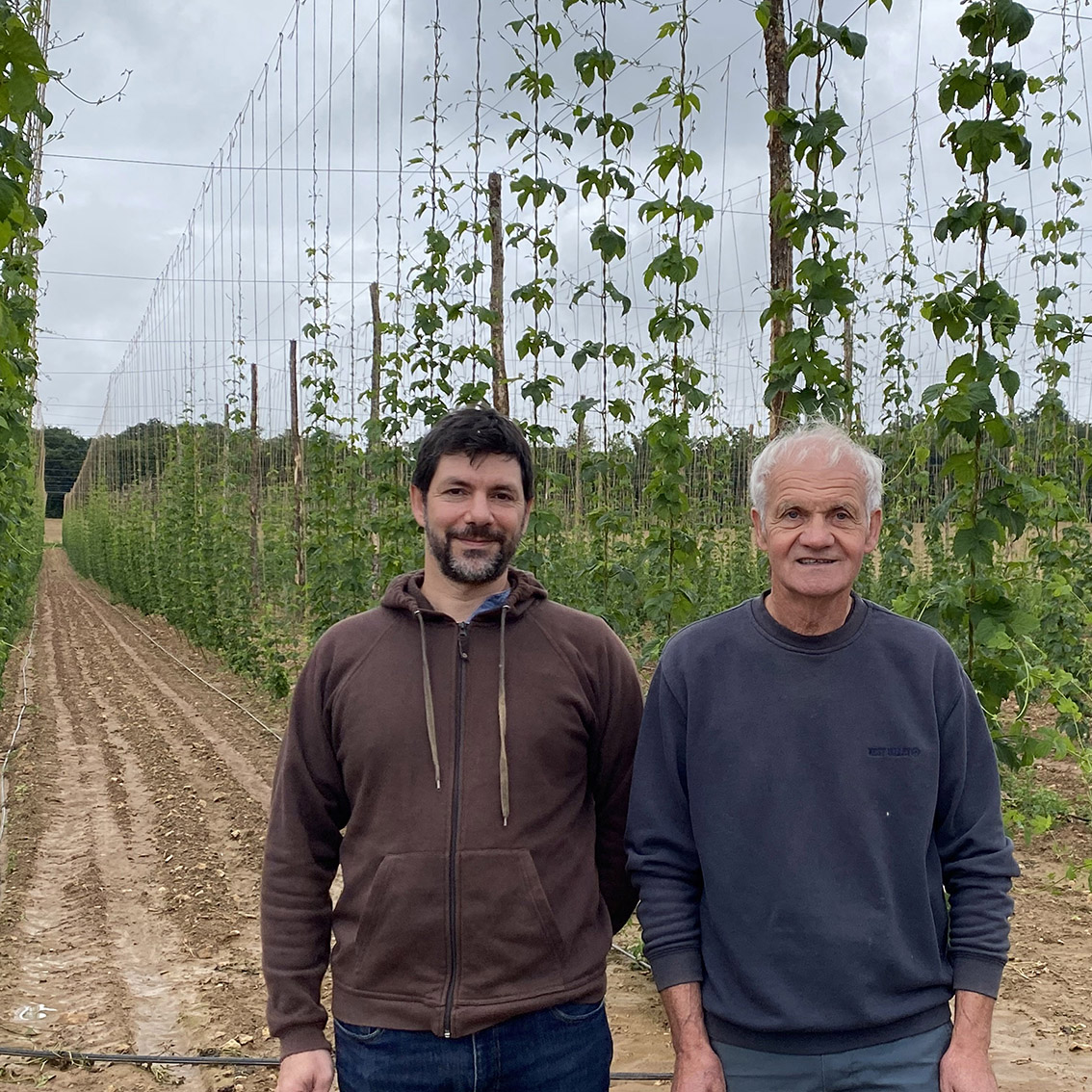 RSE-houblons-08-Cedric-Chinook-Charente