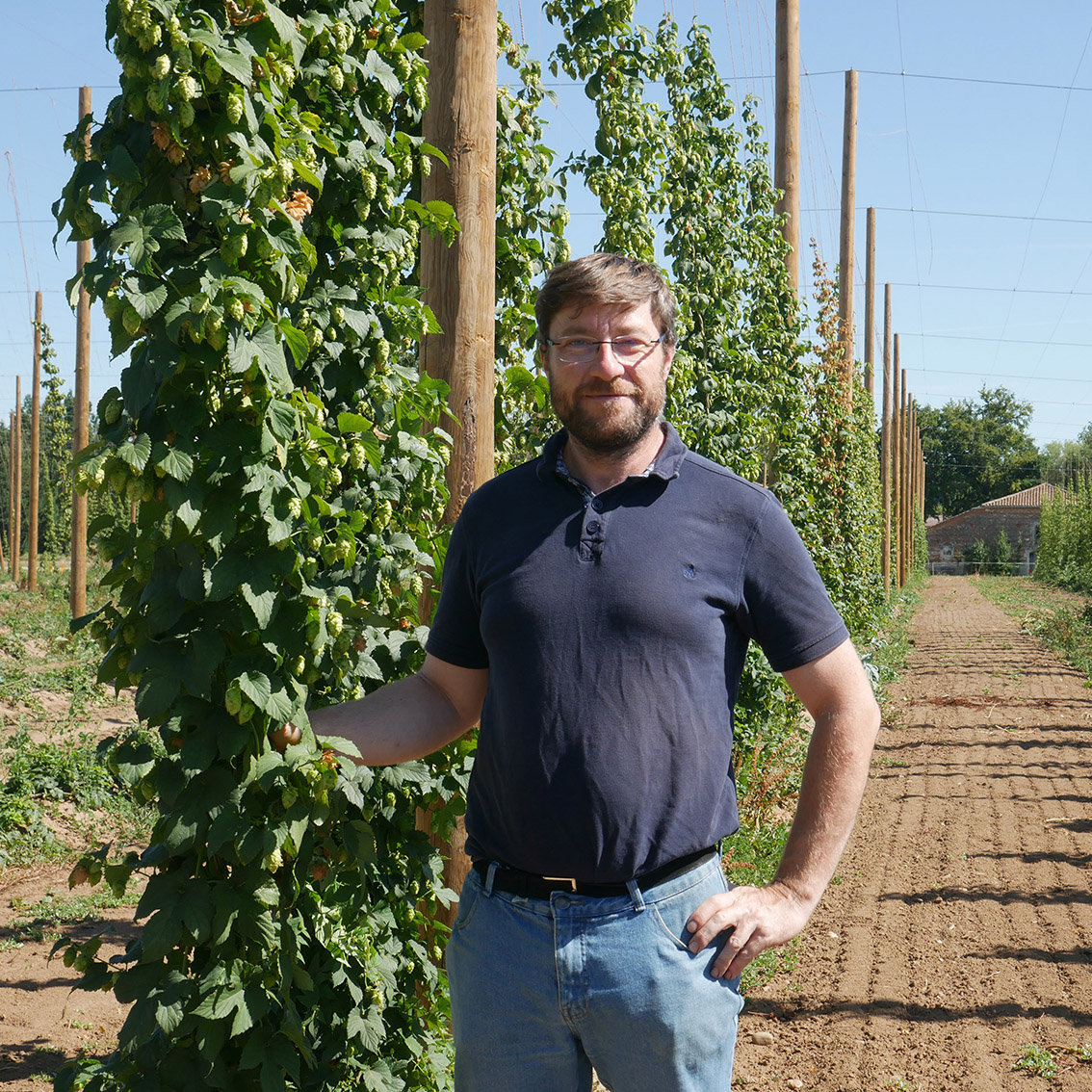 RSE-houblons-14-Xavier-Chinook-LotetGaronne
